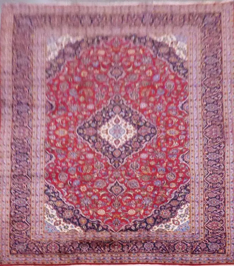 P1110604T Medium d0f70a75 1d09 428b af16 5fea88abf5c0